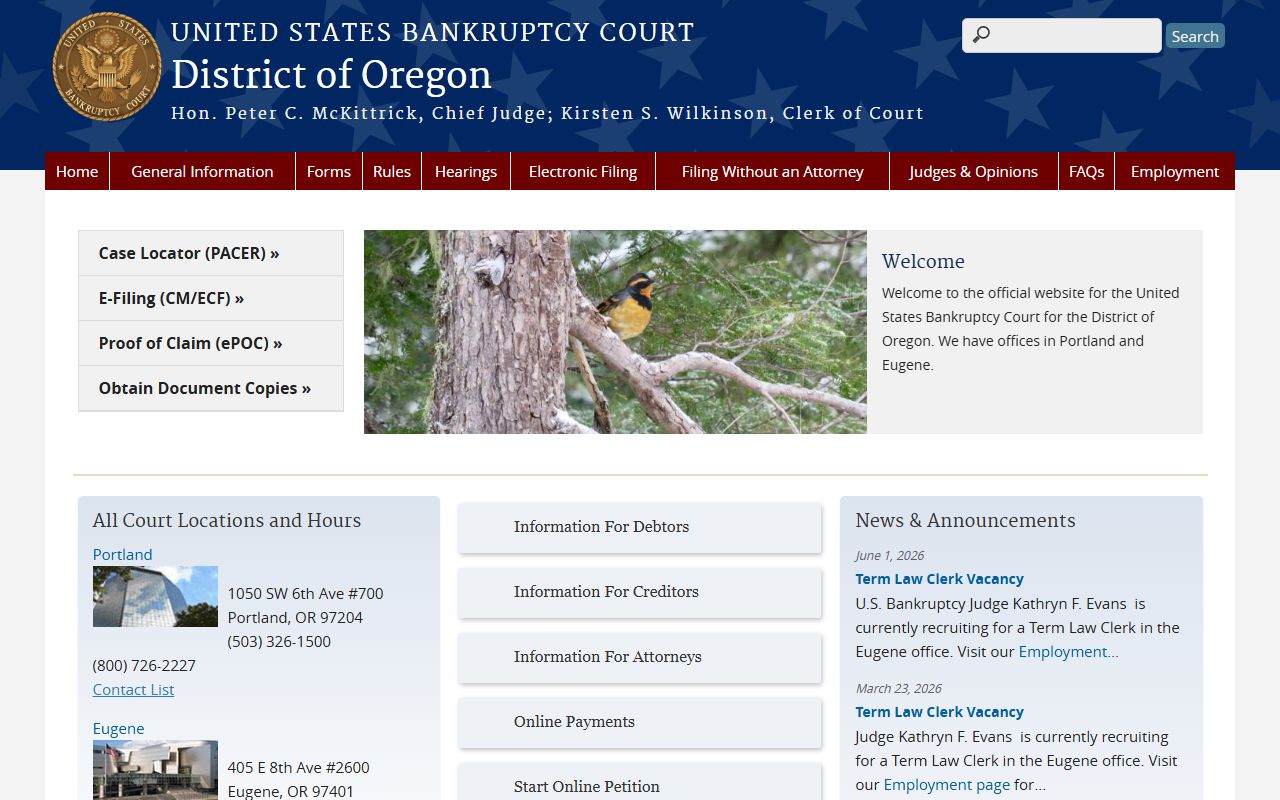 Deschutes County Circuit Court and Oregon bankruptcy court record systems